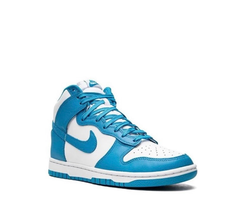 Nike Dunk High